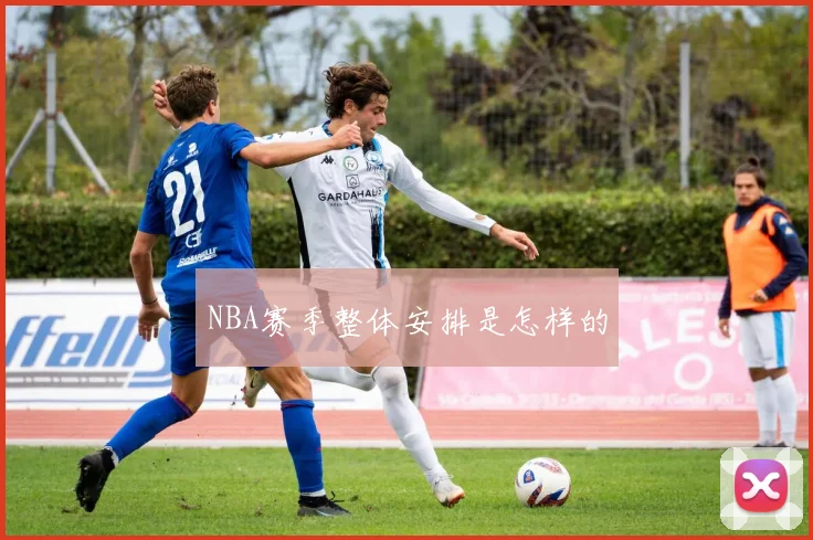 NBA赛季整体安排是怎样的