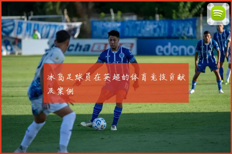 冰岛足球员在英超的体育竞技贡献及案例
